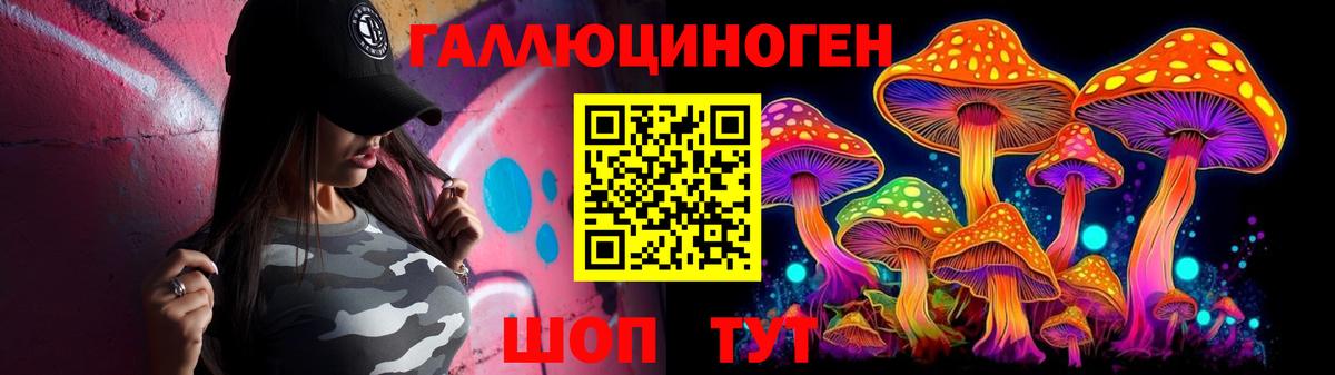 Галлюциногенные грибы Psilocybine cubensis Новокубанск