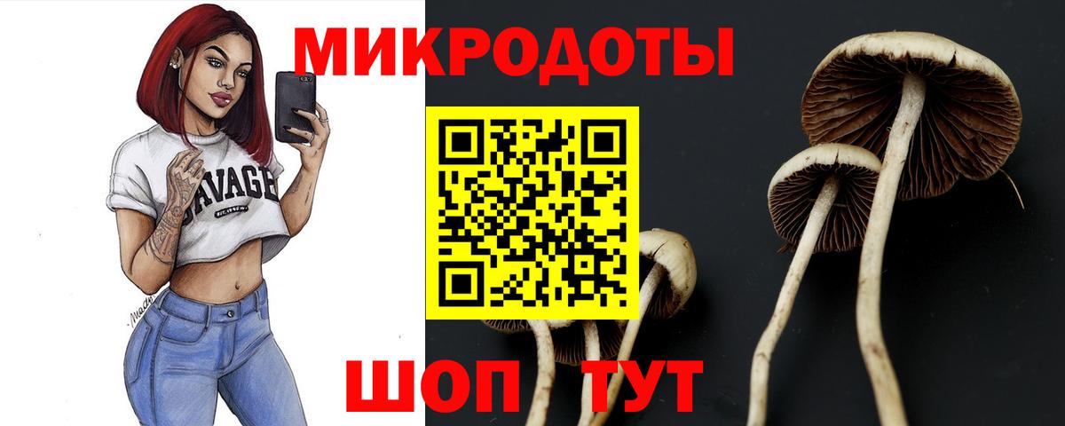 Новокубанск  Псилоцибиновые грибы ЛСД  продажа наркотиков  Вход с VPN 