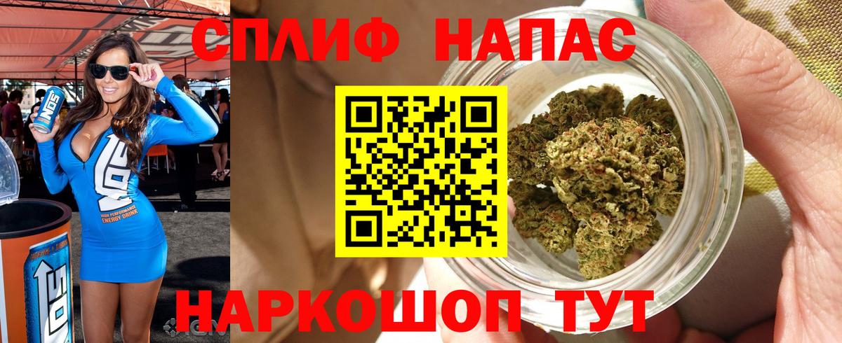 Канабис планчик  Бошки Шишки семена  Конопля THC 21%  Вход с VPN  Новокубанск 